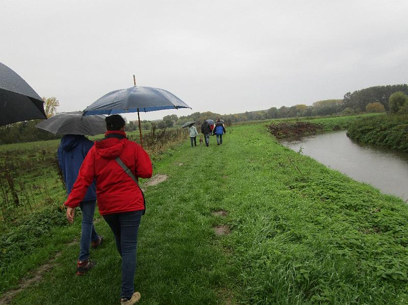 Herfstwandeling (8).JPG